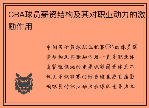 CBA球员薪资结构及其对职业动力的激励作用
